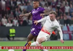 专业数据报道-西汉姆联近况